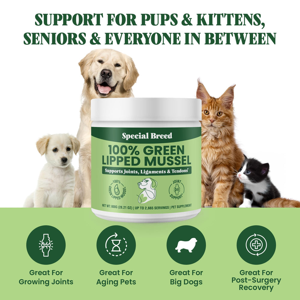 Special Breed polvo mejillón labios verdes, pensado para apoyar la movilidad de perros.