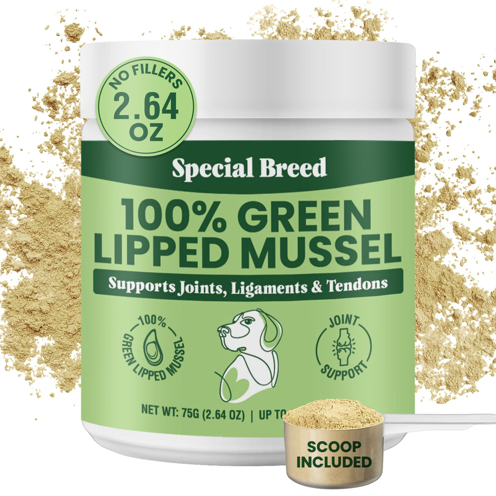 Special Breed polvo mejillón verde 75 g en frasco para articulaciones de perros y gatos.