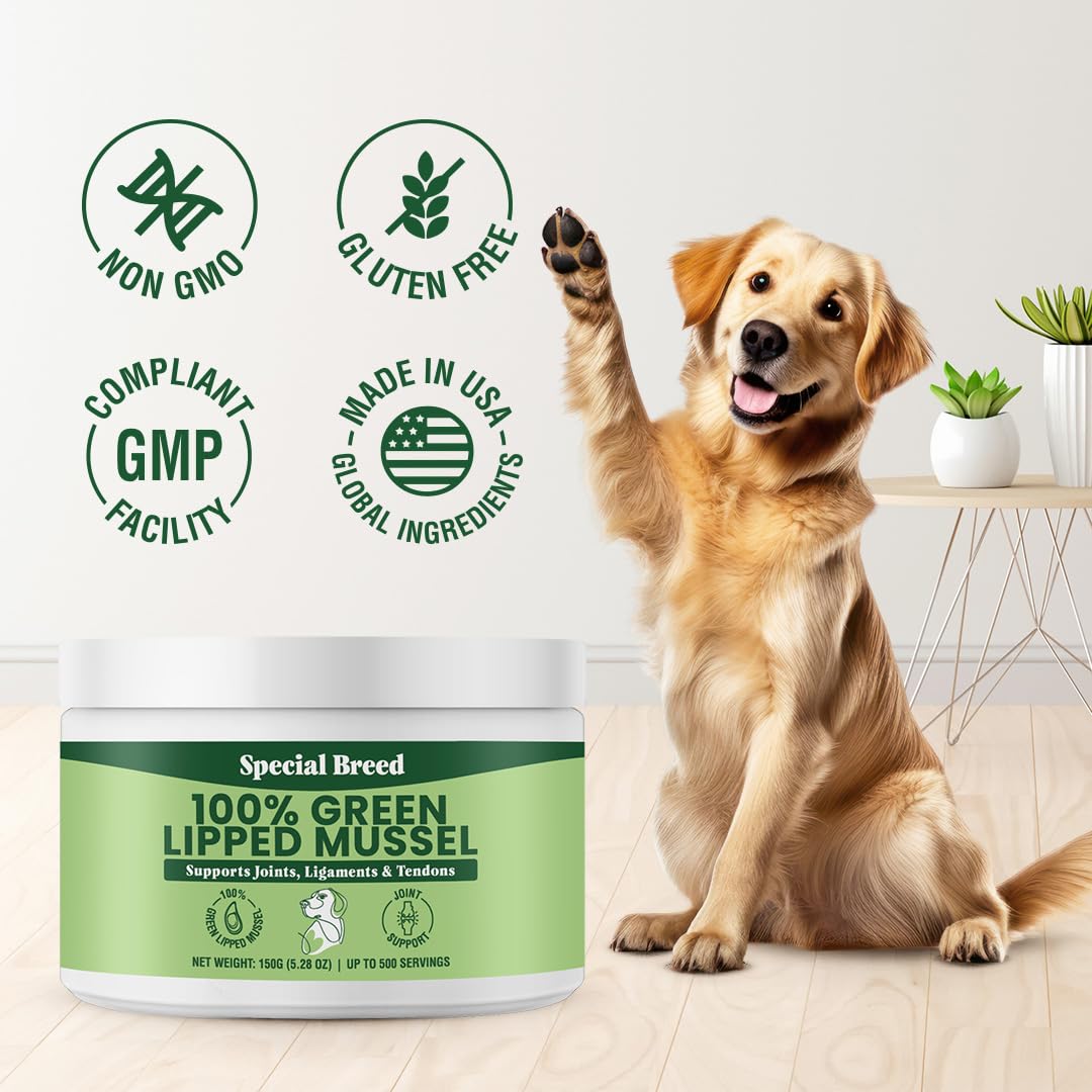 Special Breed dosis diaria para perros y gatos con mejillón verde