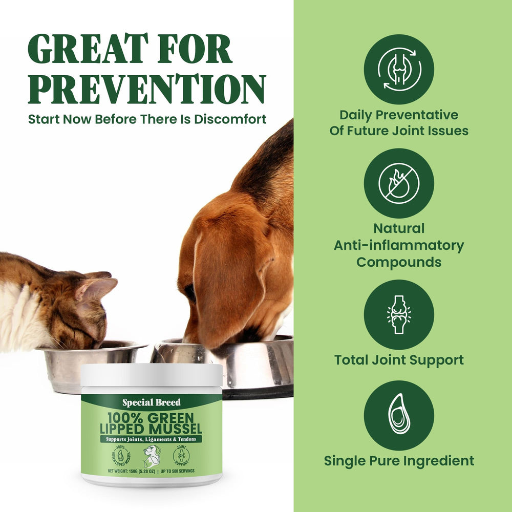 Special Breed polvo mejillón verde mezclado con comida para perros y gatos