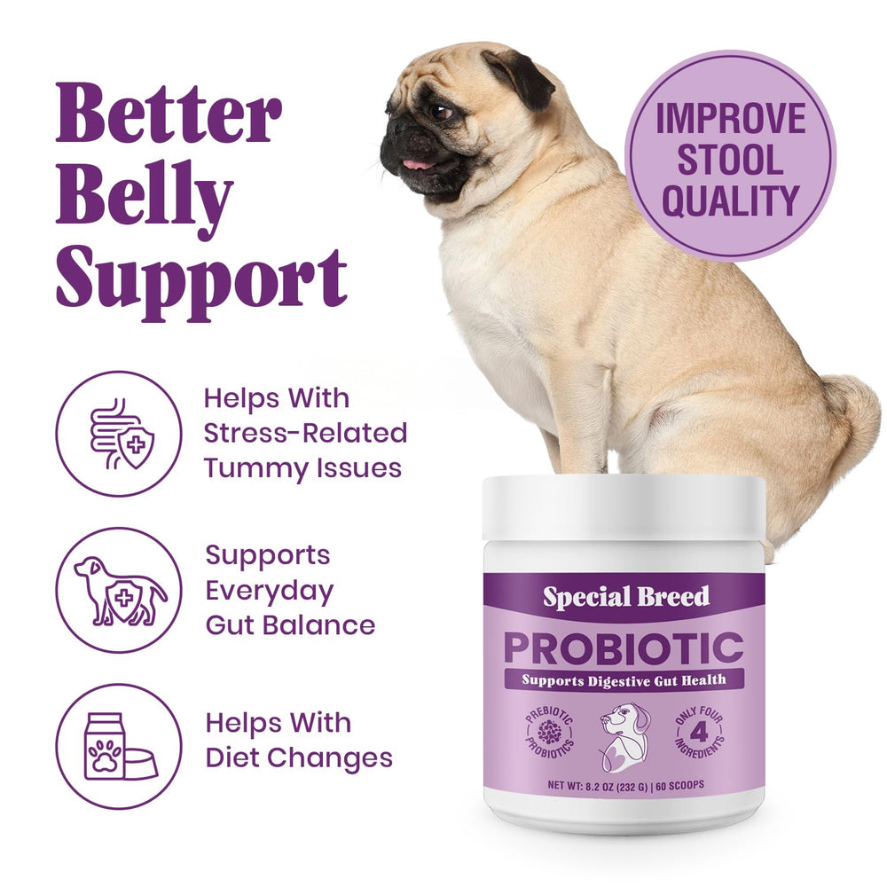 Special Breed Probiotics, cucharada sobre la comida, apoya el intestino diariamente.
