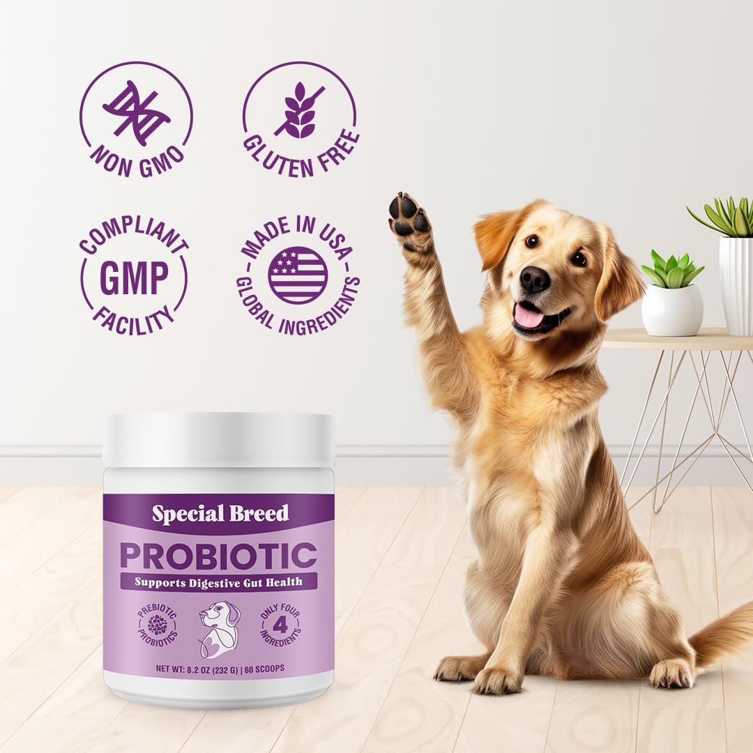 Special Breed Probiotics, empaque práctico para dueños que cuidan la dieta del perro.