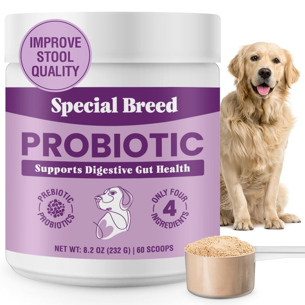 Special Breed Probiotics para perros, polvo en frasco, favorece la digestión suave.
