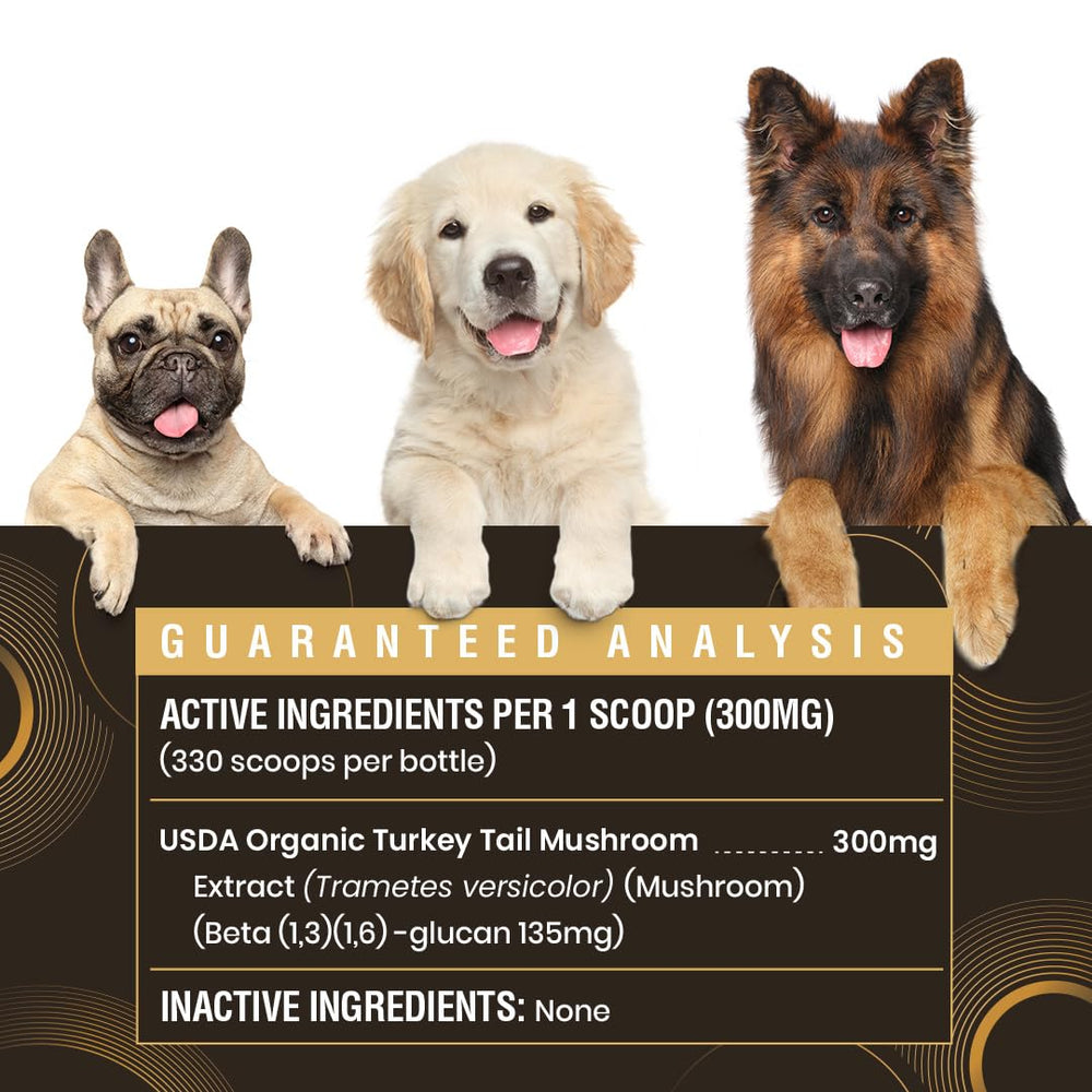 Special Breed proceso de extracción con agua caliente del hongo