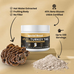 Special Breed primer plano del polvo de Turkey Tail para uso diario