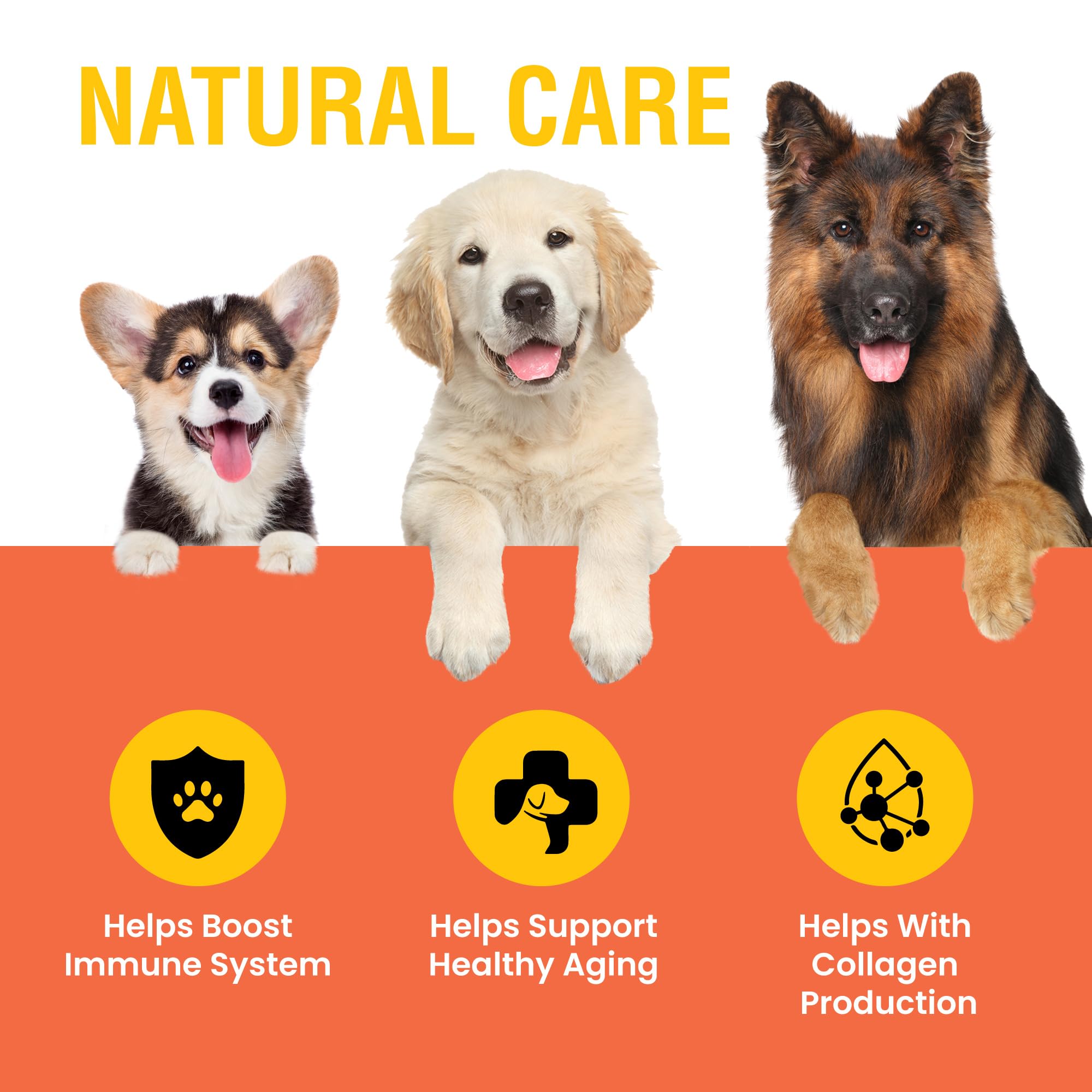 Special Breed Vitamina C para perros: dosis diaria simple para apoyo.