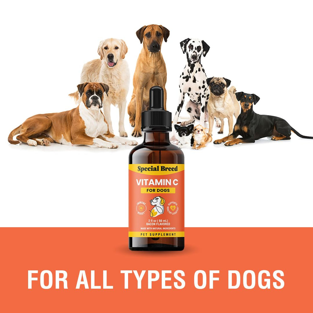 Special Breed Vitamina C para perros: sabor bacon para facilitar la aceptación.