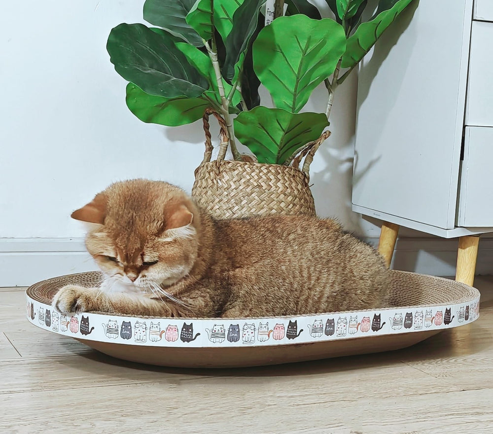 Spindro protege muebles con rascador ovalado para gatos.