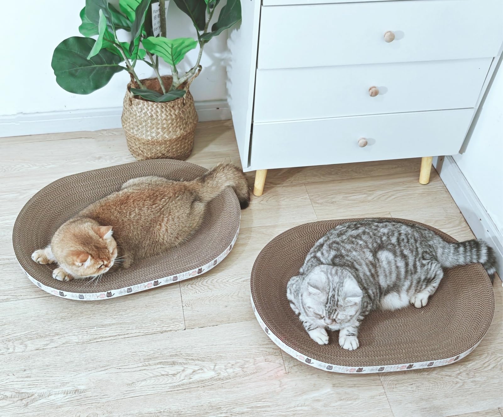 Spindro protección de muebles, protege tus muebles mientras tu gato rasca