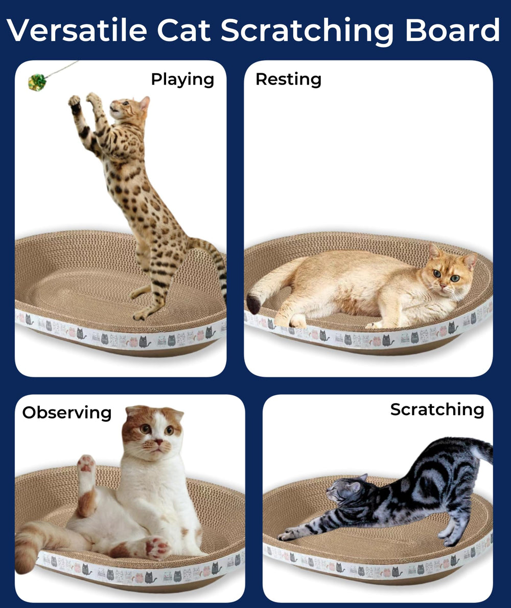 Spindro uso interior, ideal para gatos dentro de casa