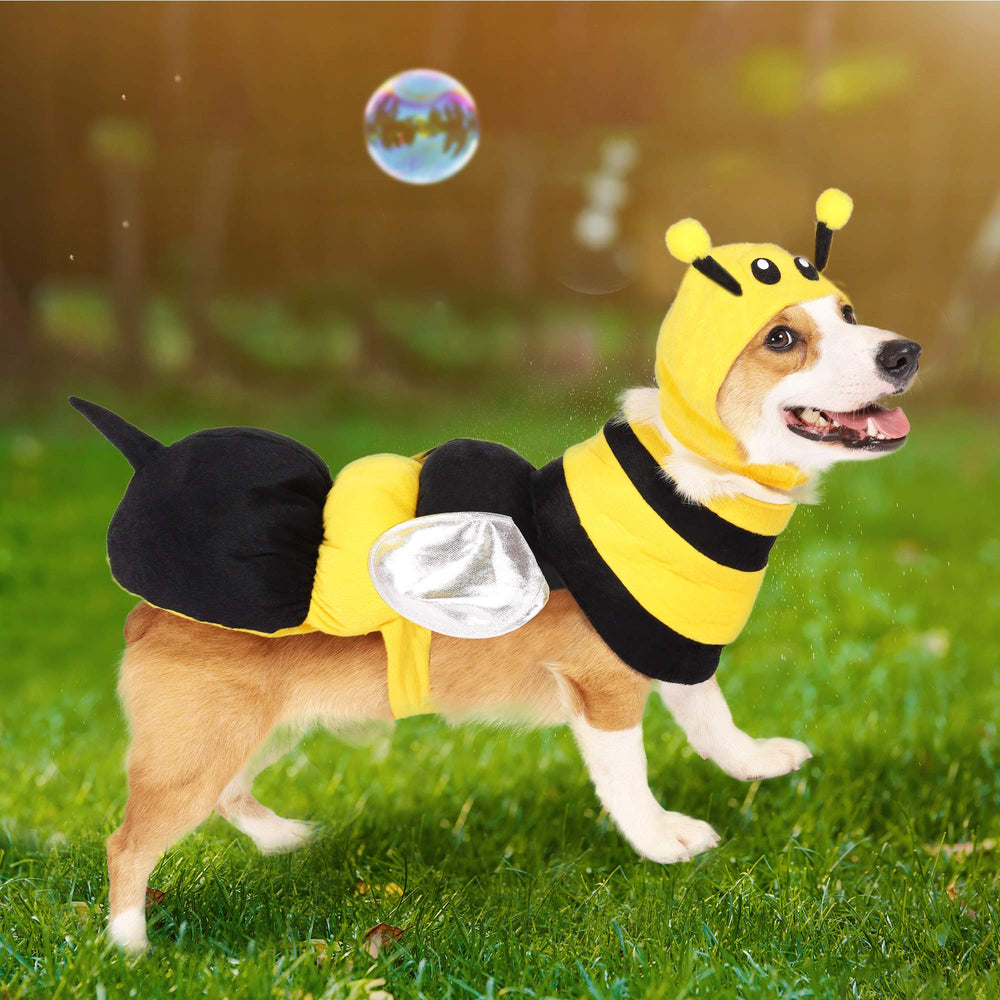Conjunto completo abeja para perro de Spooktacular Creations