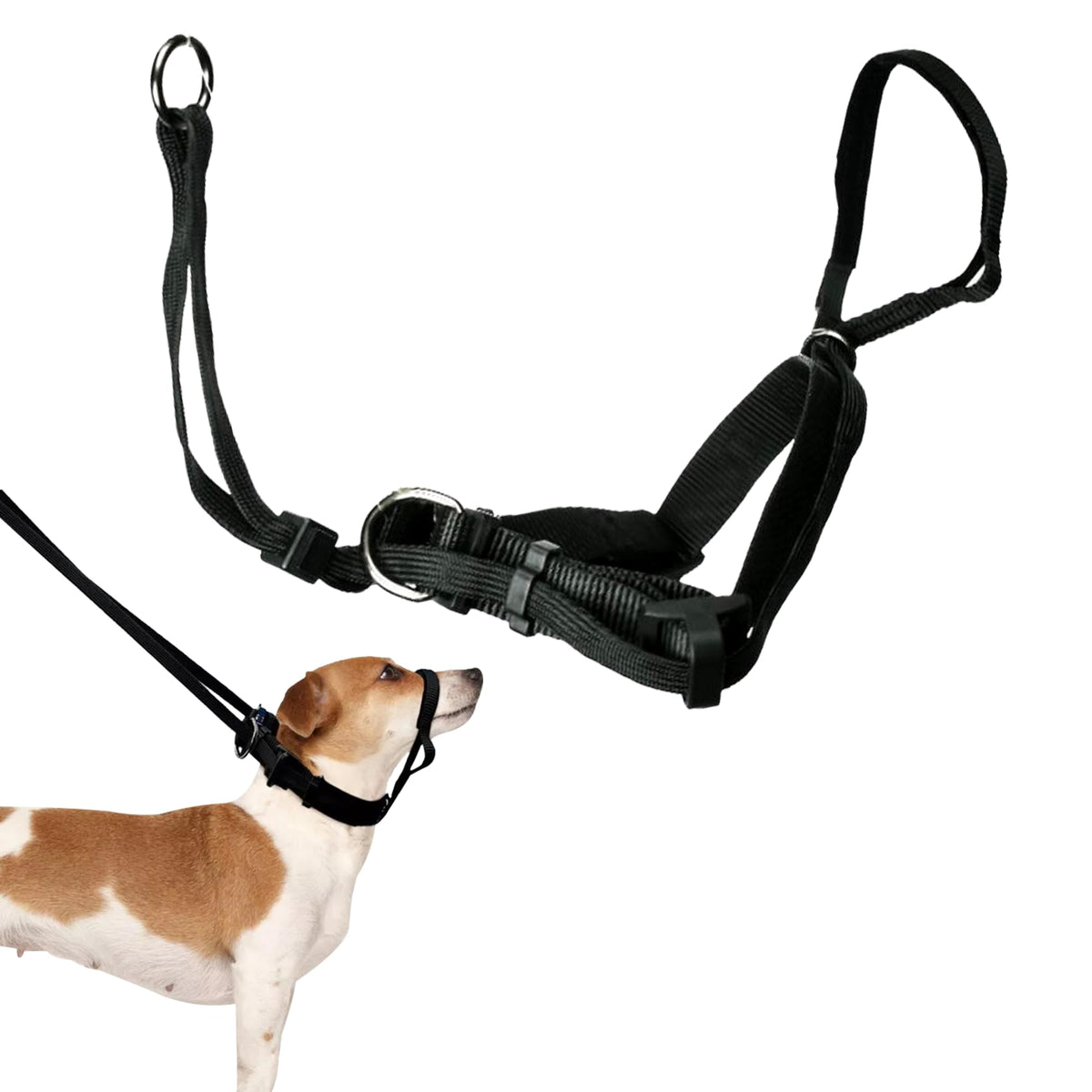 Sporn arnés de cabeza para perro mediano negro, control suave durante paseos.