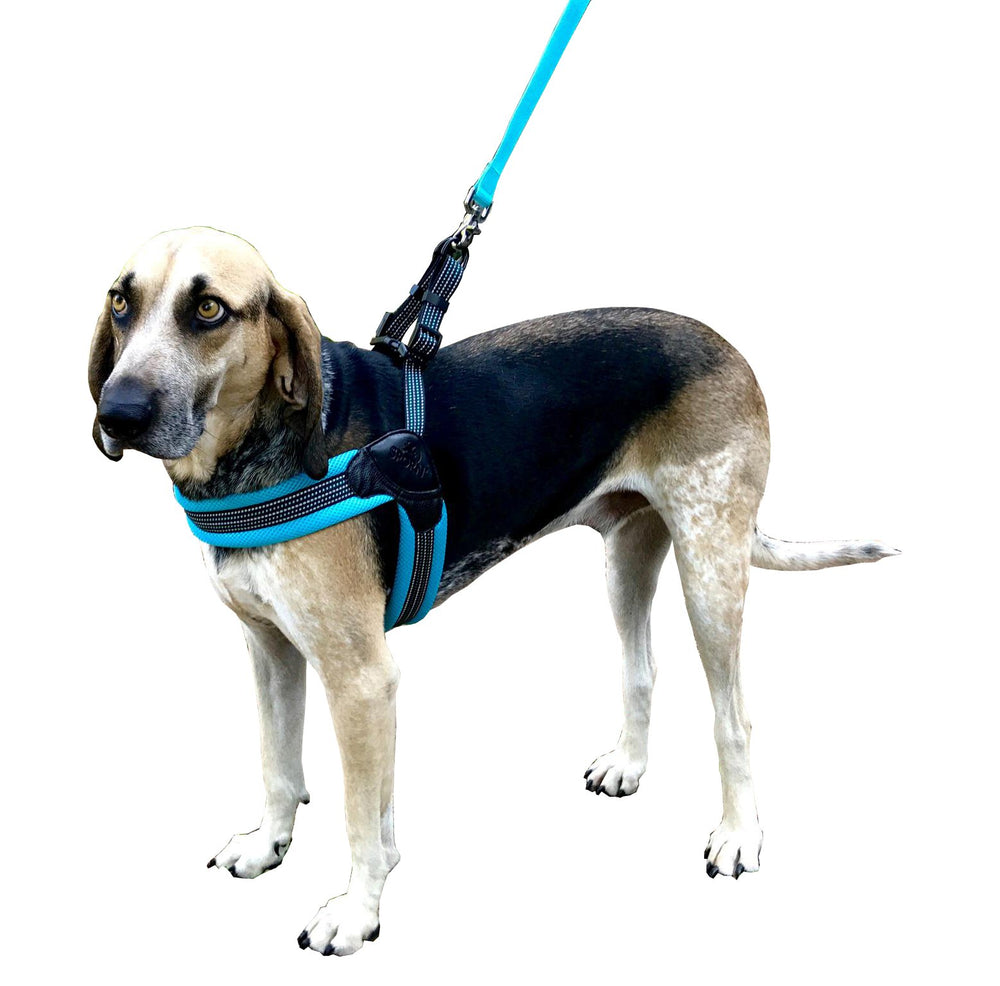 Ajuste fácil y tallas disponibles para razas pequeñas.