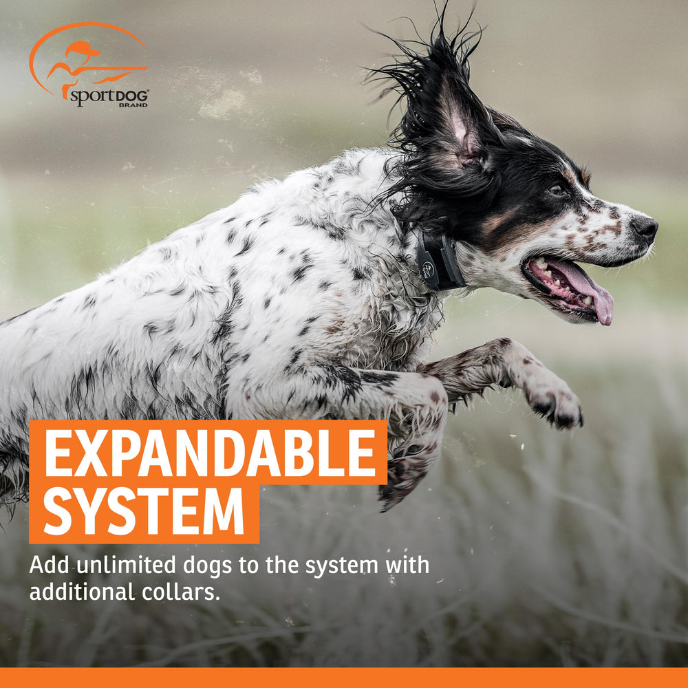 SportDOG: collar resistente al agua para perros activos y de caza