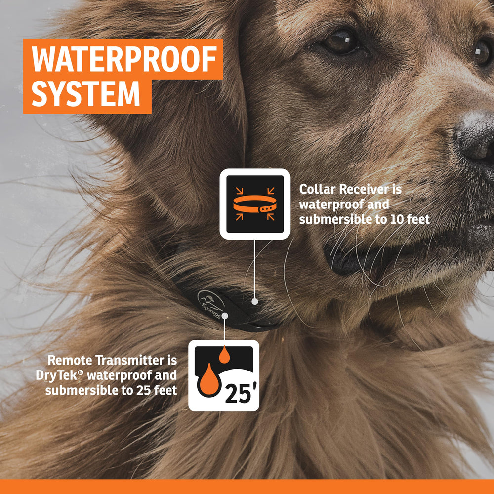 SportDOG Contain + Train System: bandera delimitadora para señales visuales claras