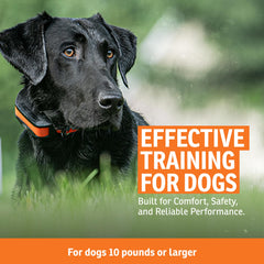 SportDOG Contain + Train System: entrenamiento remoto con tono y vibración para perros