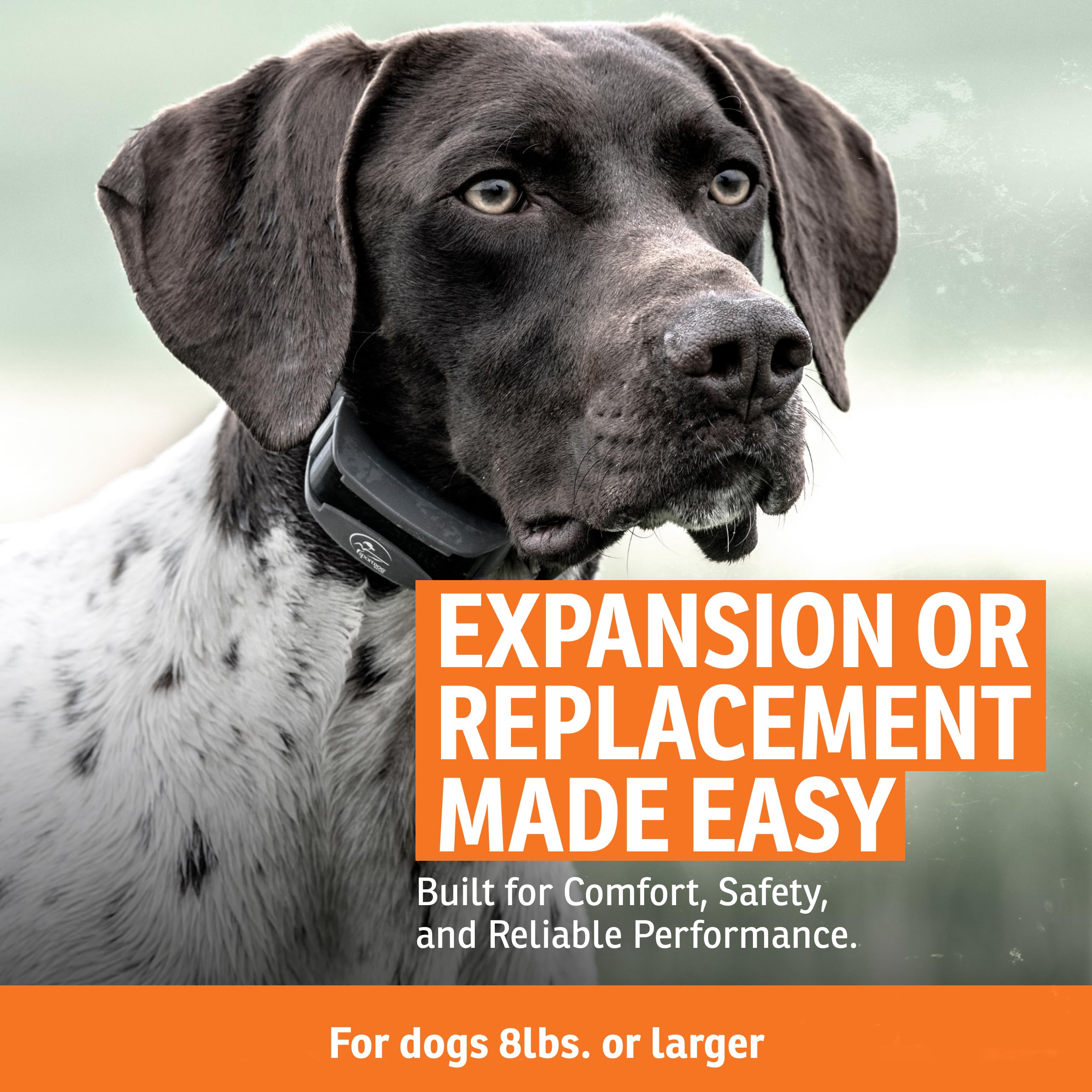 SportDOG DryTek, collar impermeable y sumergible para condiciones de lluvia