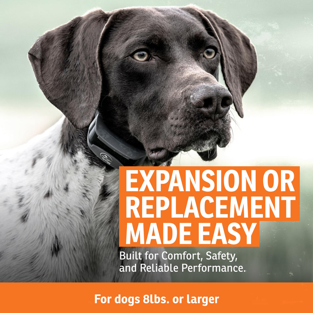 SportDOG DryTek, collar impermeable y sumergible para condiciones de lluvia