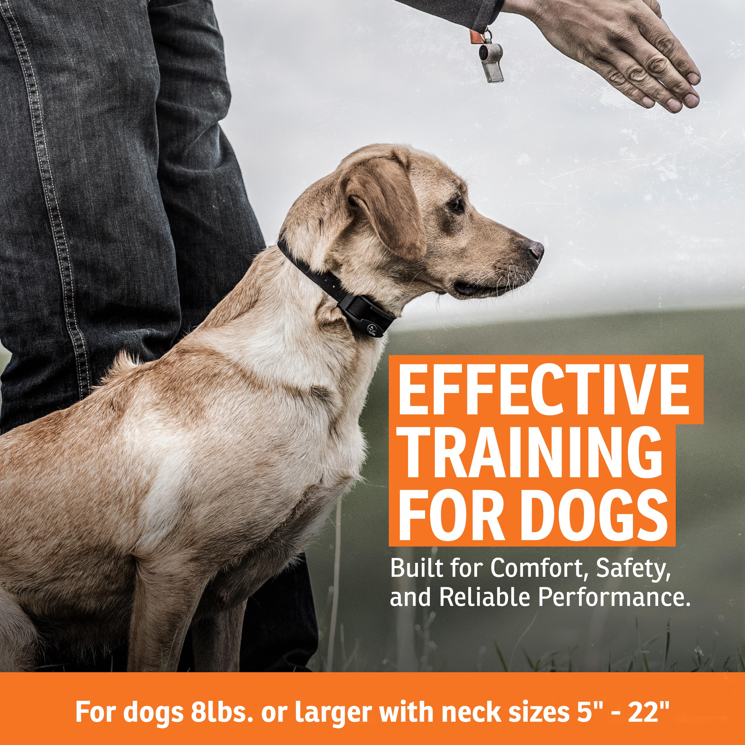 SportDOG FieldTrainer 425X con batería de carga rápida para sesiones largas.