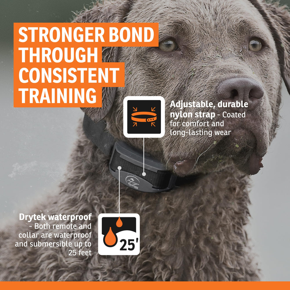 SportDOG FieldTrainer 425XS: alcance de 500 yardas para entrenamiento a distancia