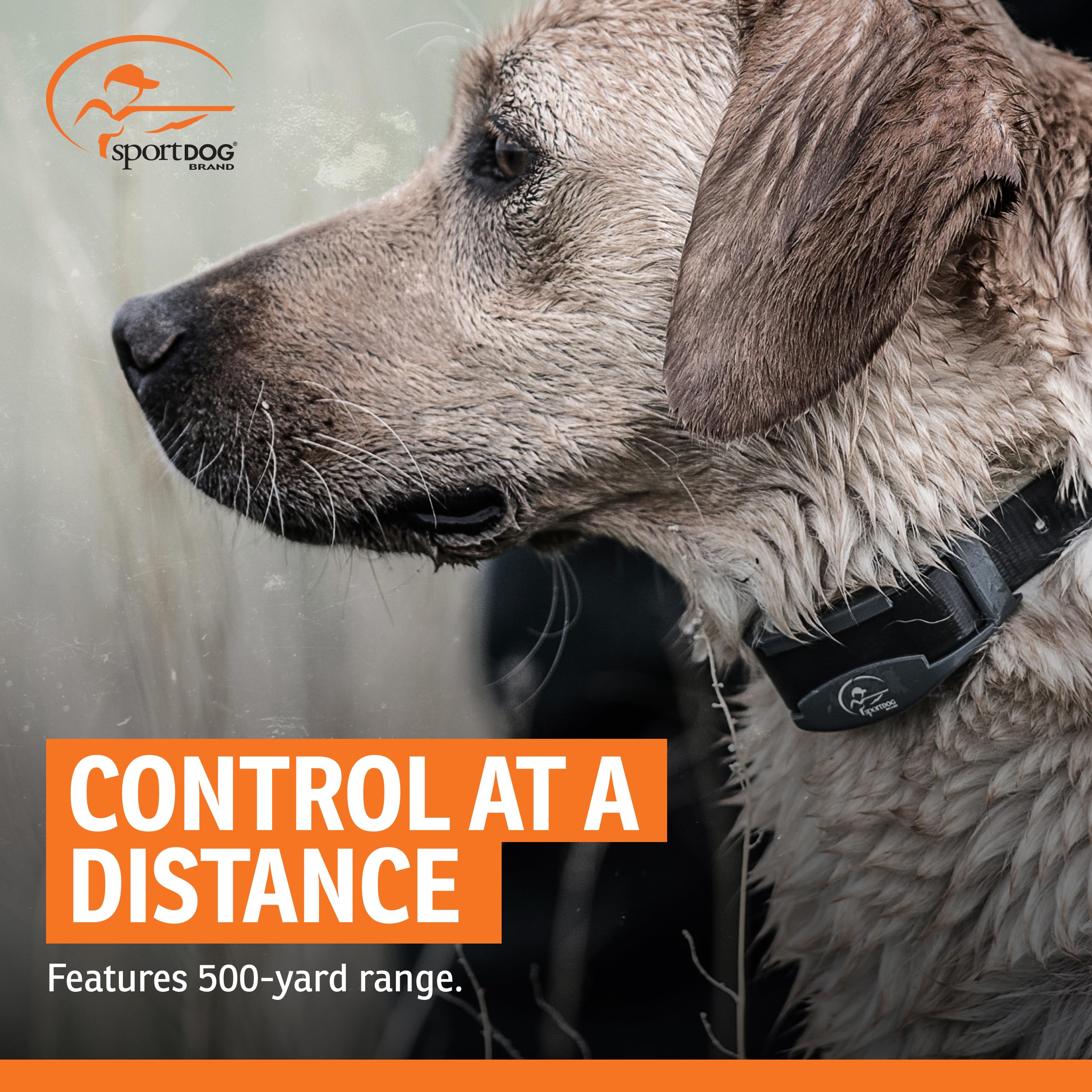 SportDOG FieldTrainer 425XS: diseño robusto y correa duradera para condiciones exigentes