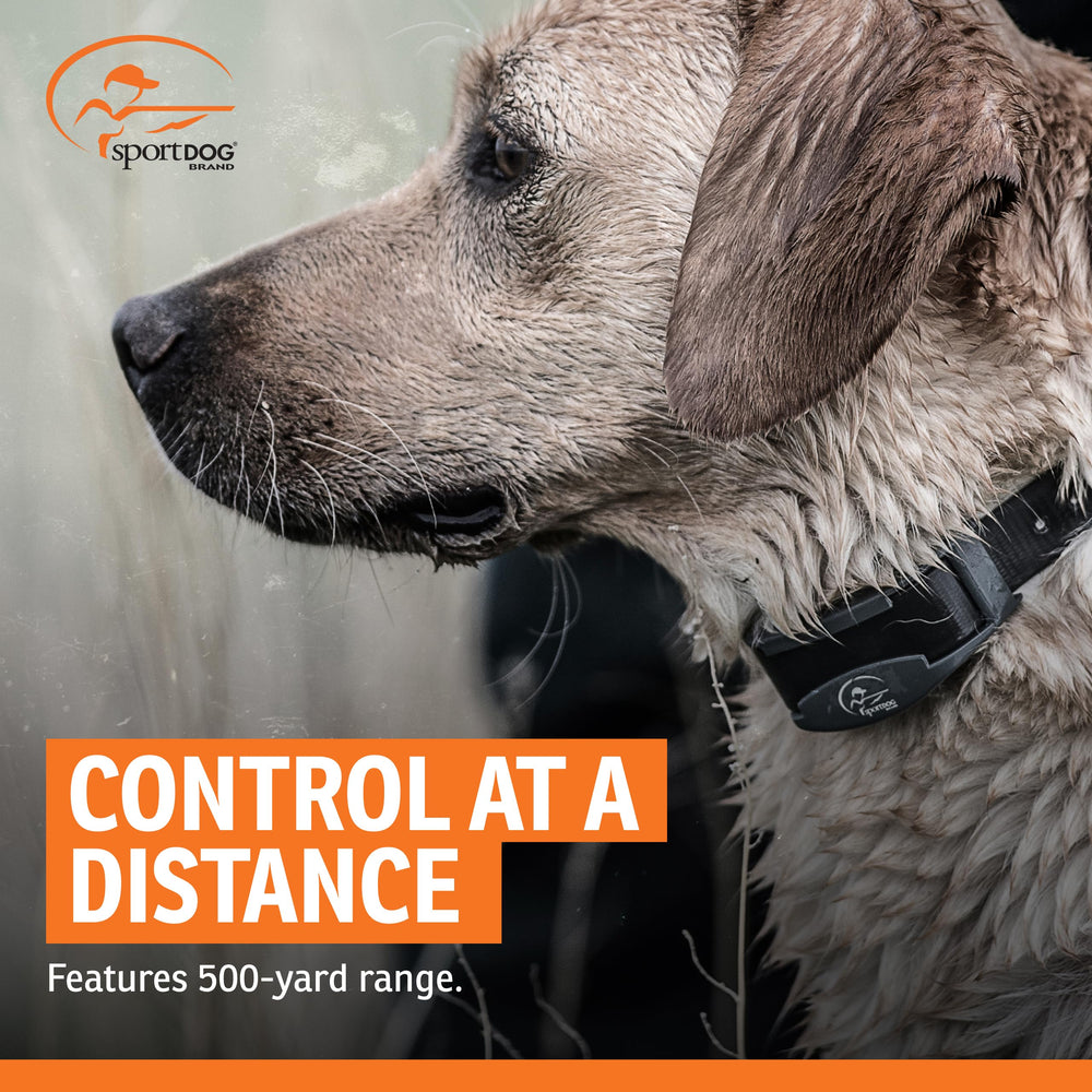 SportDOG FieldTrainer 425XS: diseño robusto y correa duradera para condiciones exigentes