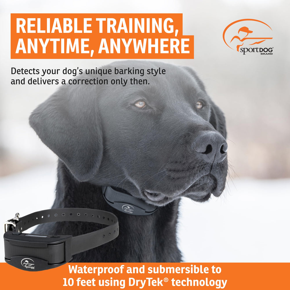 SportDOG NoBark SBC-R con diseño impermeable para todas las condiciones.