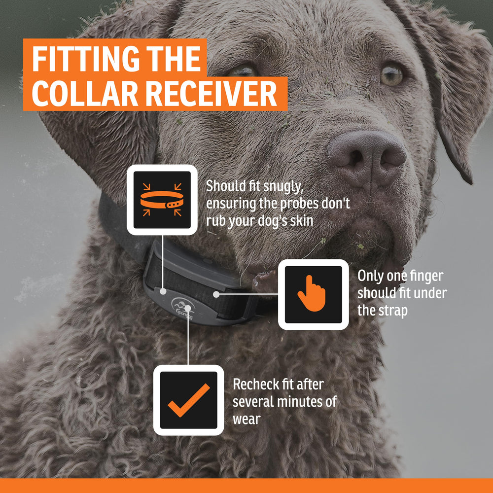 SportDOG NoBark SBC-R ofrece modos de entrenamiento para adaptar el comportamiento.