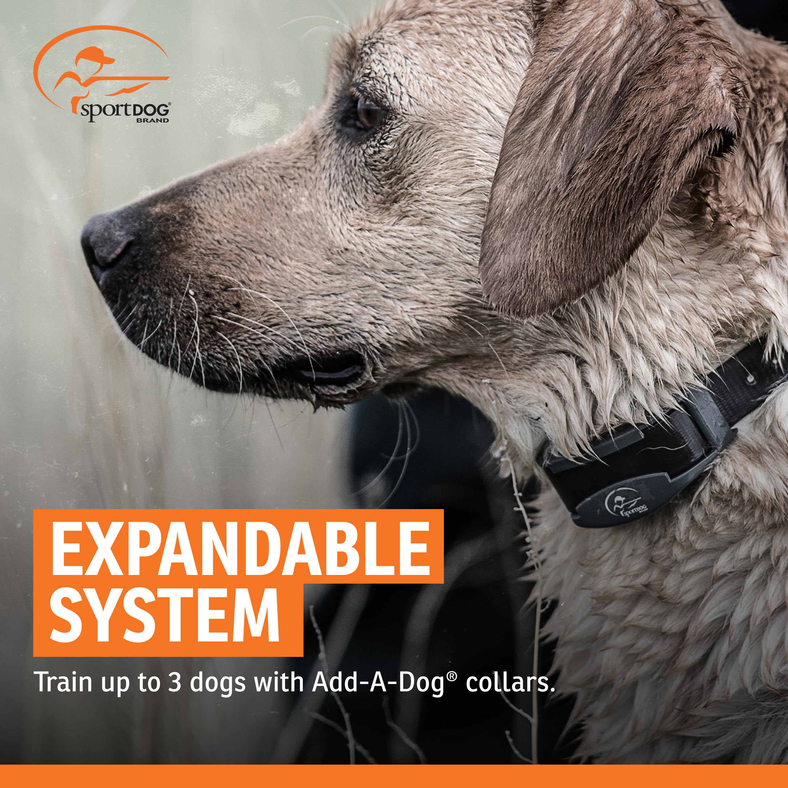 SportDOG SportHunter 825X diseño duradero para entrenadores serios en campo.