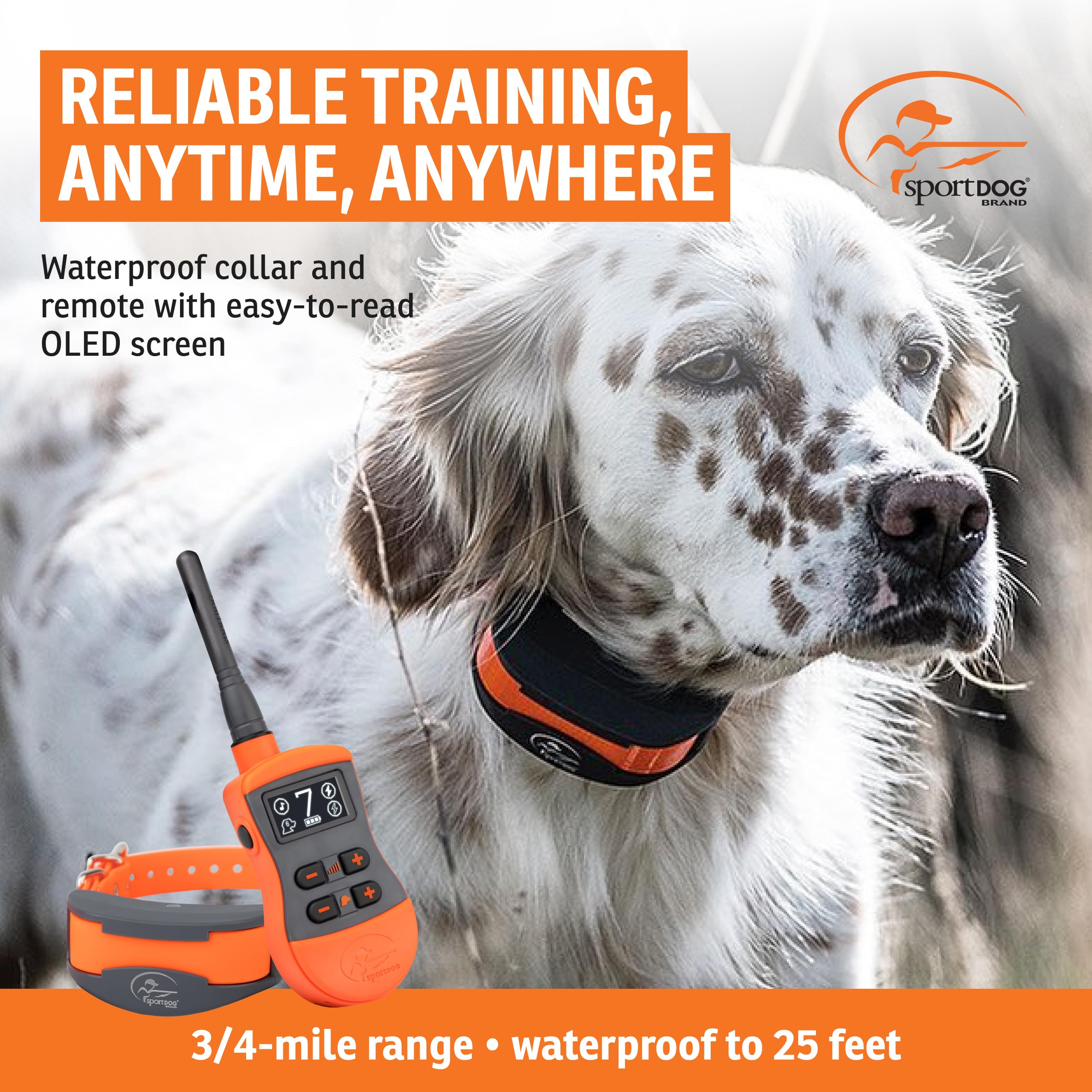 SportDOG SportTrainer 1275: pantalla OLED clara para ajustes rápidos durante el entrenamiento.