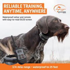 SportDOG SportTrainer 1275 con alcance de tres cuartos de milla para entrenamiento a distancia.
