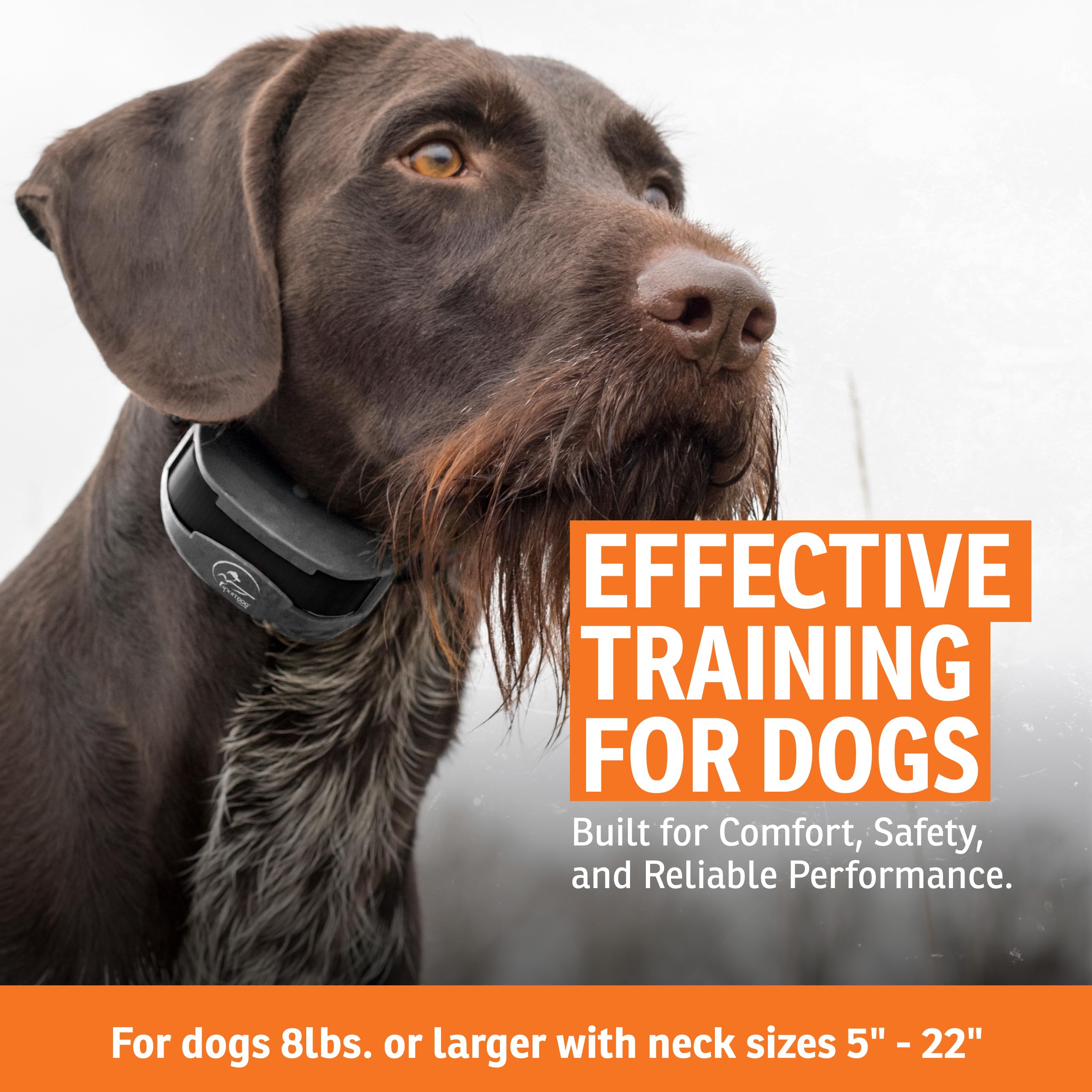 SportDOG SportTrainer 1275 para entrenar hasta 6 perros con Add-A-Dog, opción multi-perro.