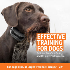 SportDOG SportTrainer 1275 para entrenar hasta 6 perros con Add-A-Dog, opción multi-perro.