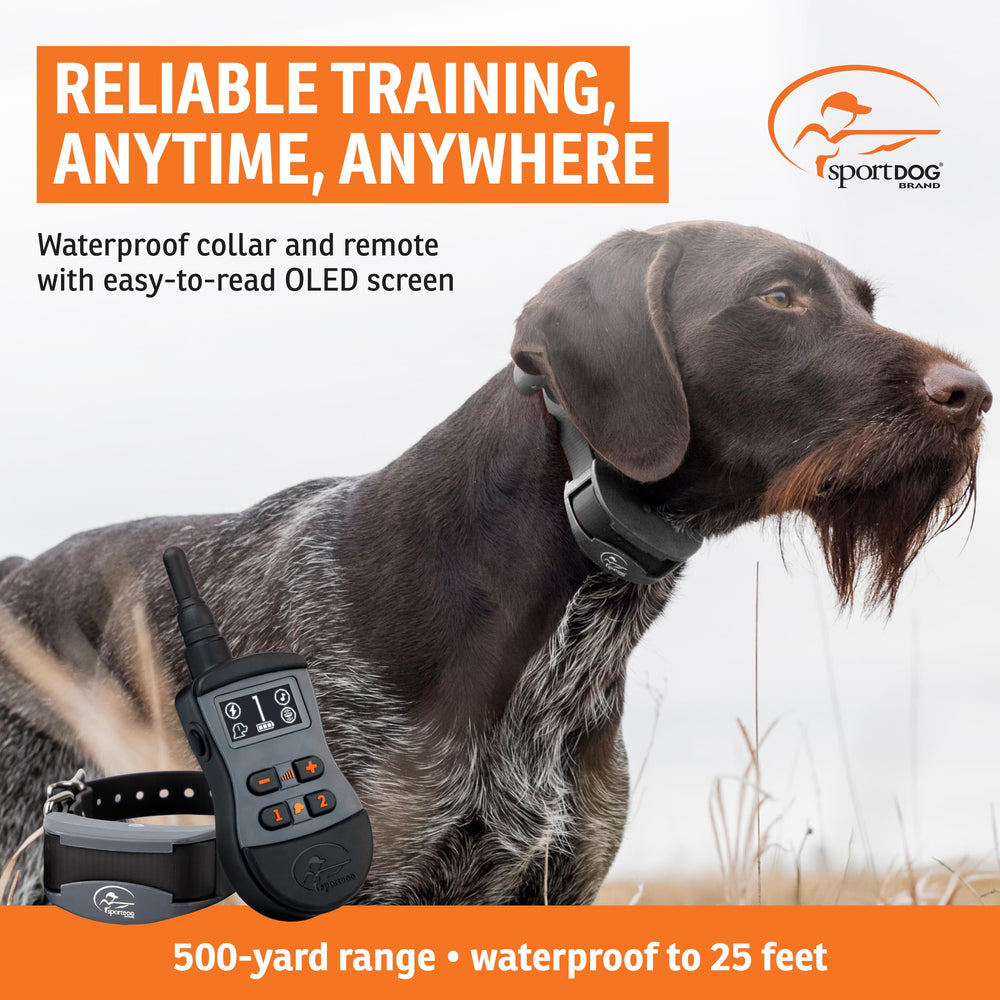 SportDOG SportTrainer 575 permite entrenar dos perros con un solo mando.