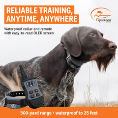 SportDOG SportTrainer 575 permite entrenar dos perros con un solo mando.