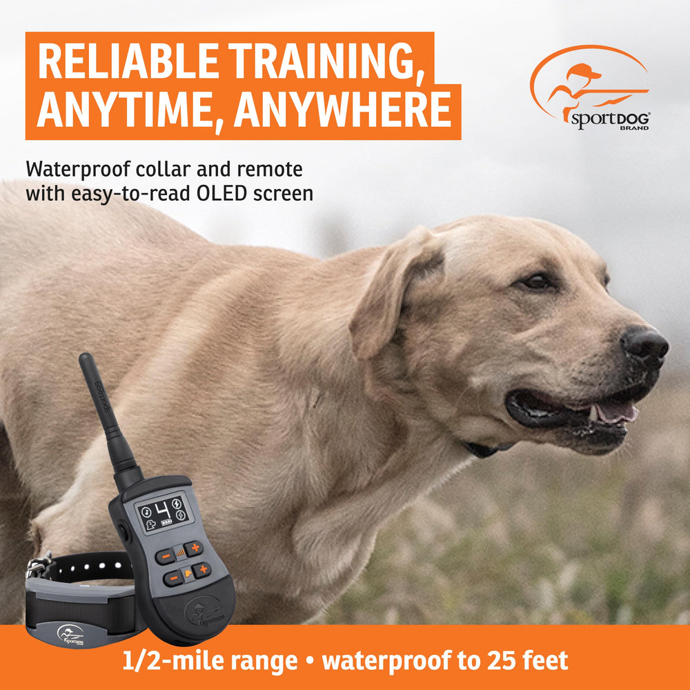 SportDOG SportTrainer collar ajustable para perros de distintos tamaños