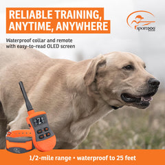 Collar de entrenamiento ajustable de SportTrainer para cualquier perro.