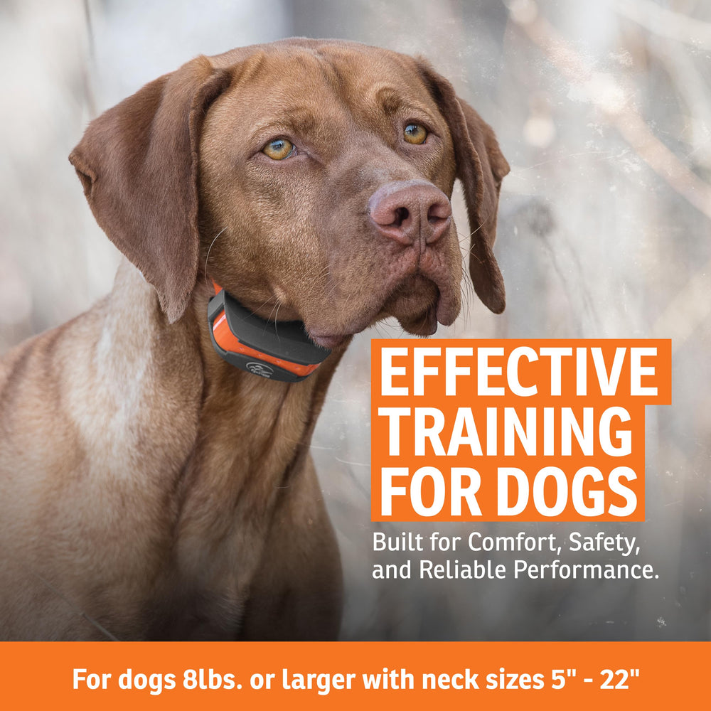 SportDOG SportTrainer es impermeable gracias a DryTek para cualquier clima.