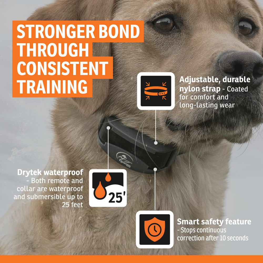 SportDOG SportTrainer uso en campo, clima húmedo y terreno irregular