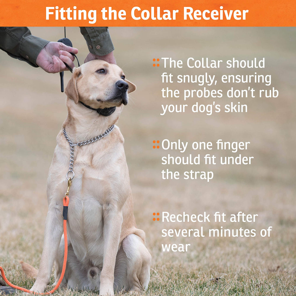 SportDOG: tecnología DryTek integrada en el collar receptor