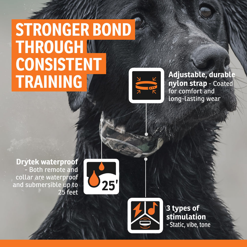 SportDOG WetlandHunter 425X, collar ajustable para perros desde 8 libras.