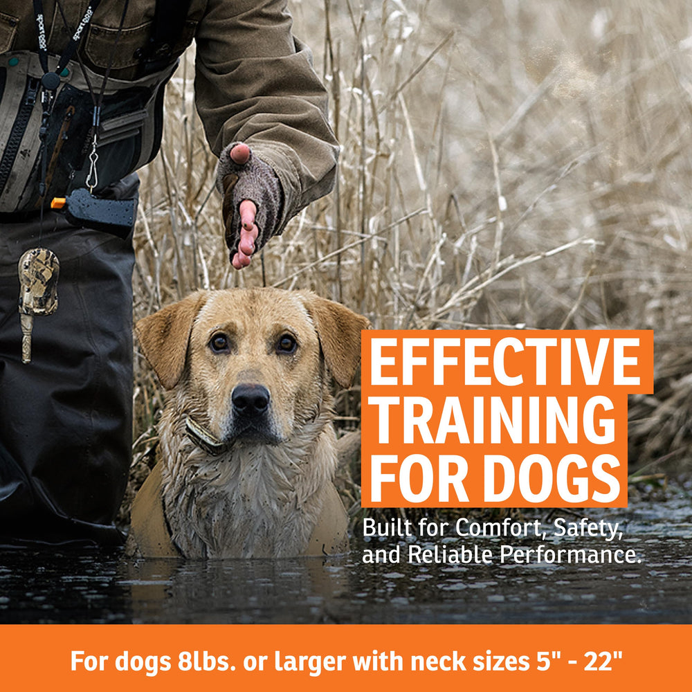 SportDOG WetlandHunter 425X impermeable DryTek, ideal para condiciones mojadas.