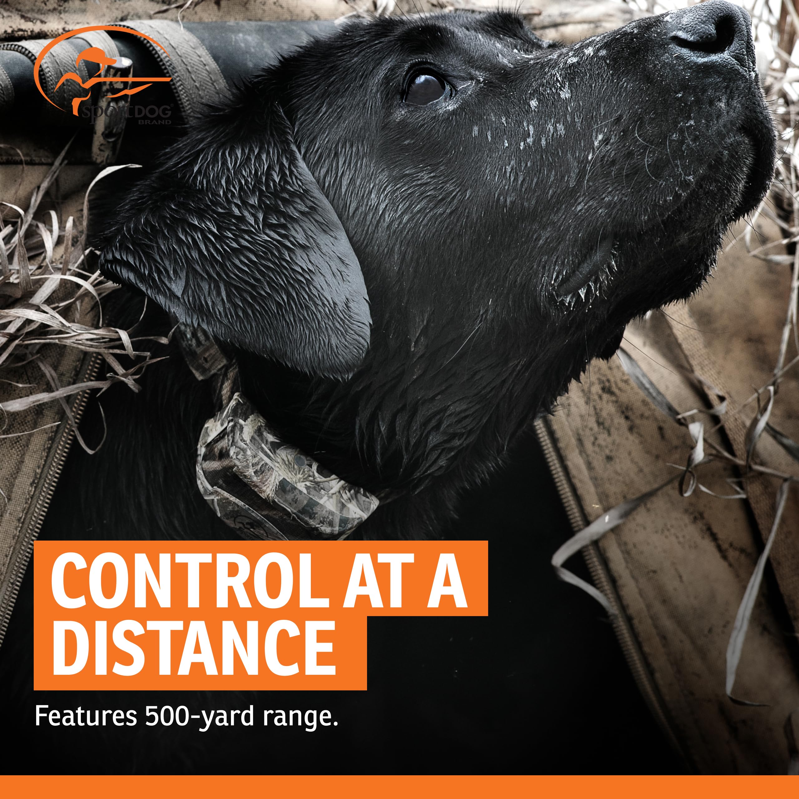 SportDOG WetlandHunter 425X usado en campo para entrenamiento robusto.