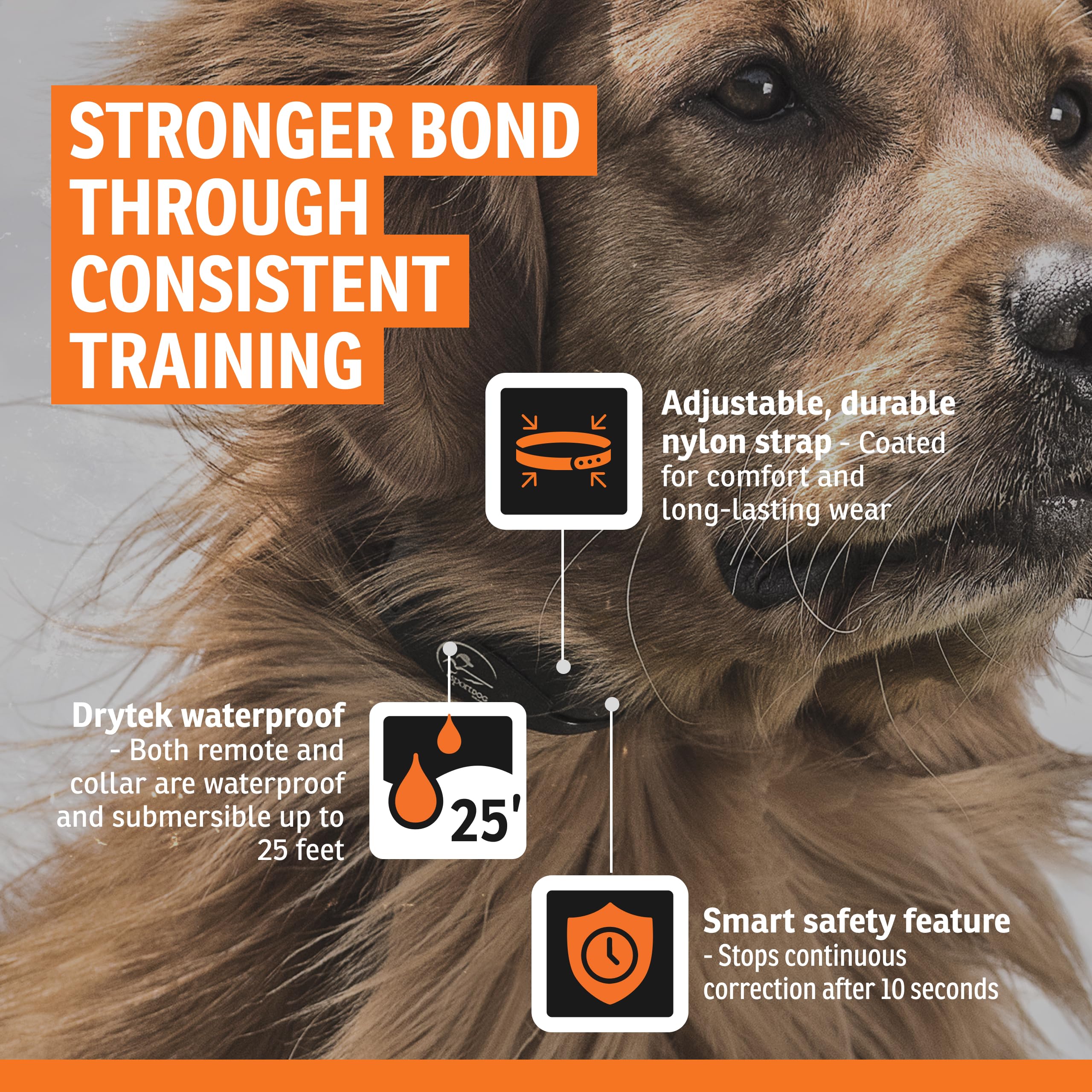 SportDOG YardTrainer 100S: resistente al agua DryTek hasta 25 pies