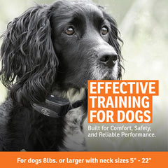 SportDOG YardTrainer 100S: vibración para corrección durante paseos