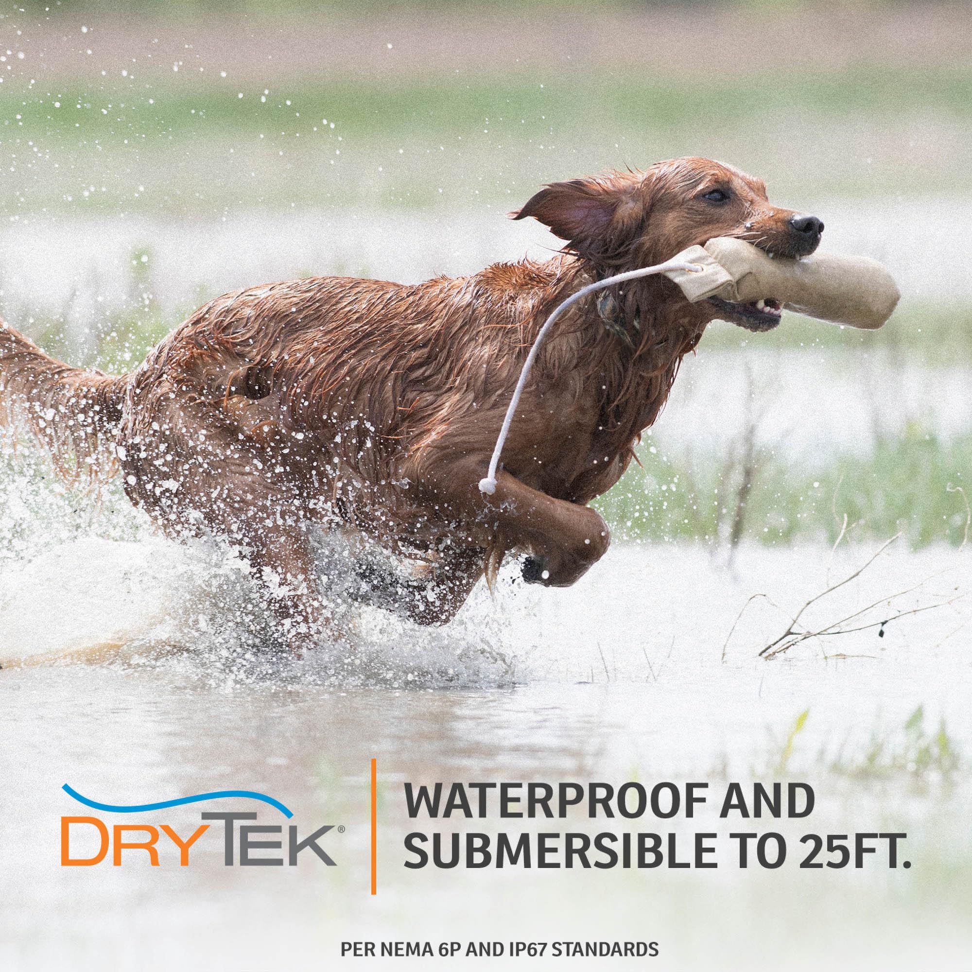 SportDOG YardTrainer diseño compacto para uso diario
