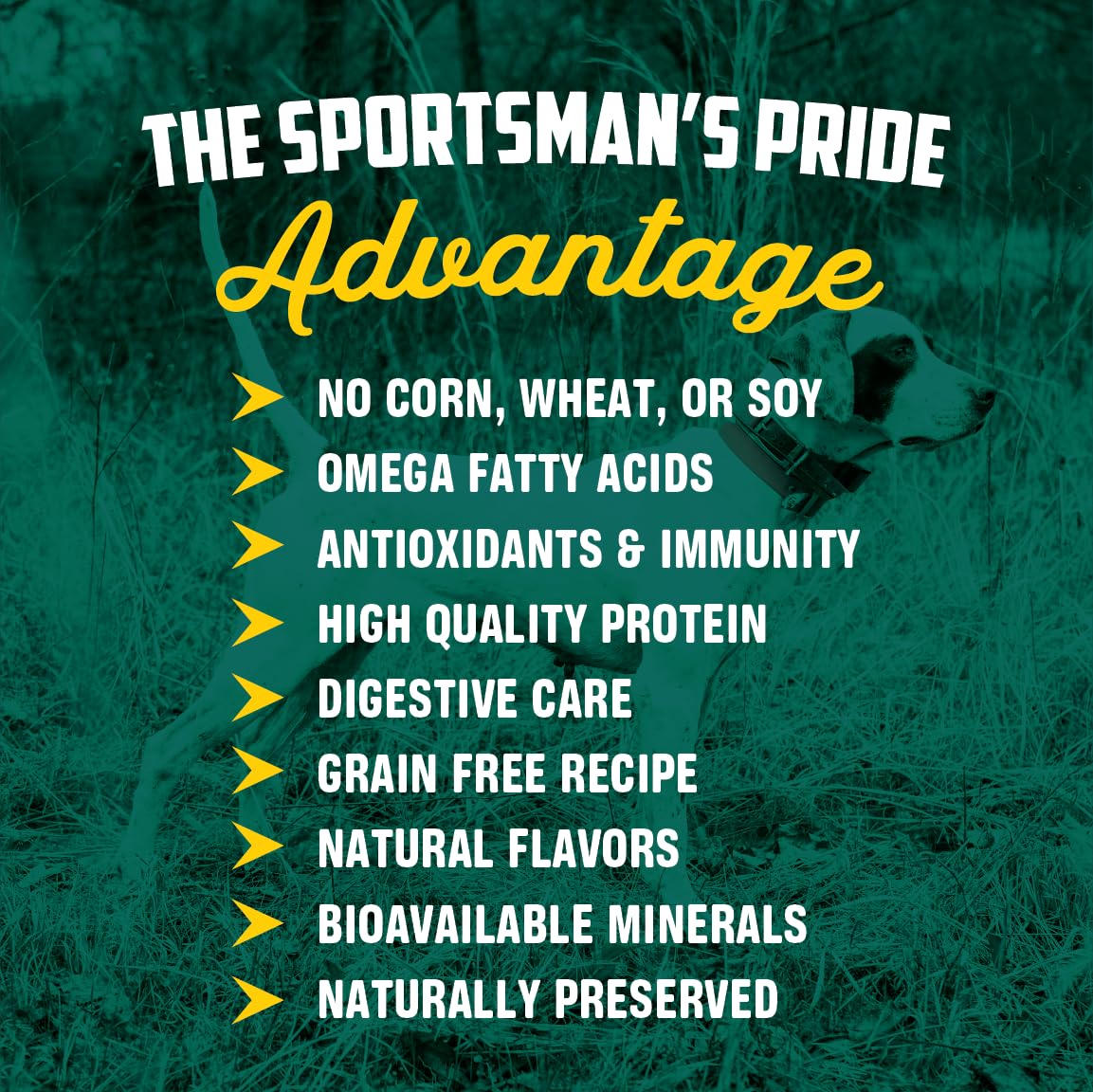 Sportsman's Pride Field Master: glucosamina y condroitina para articulaciones.