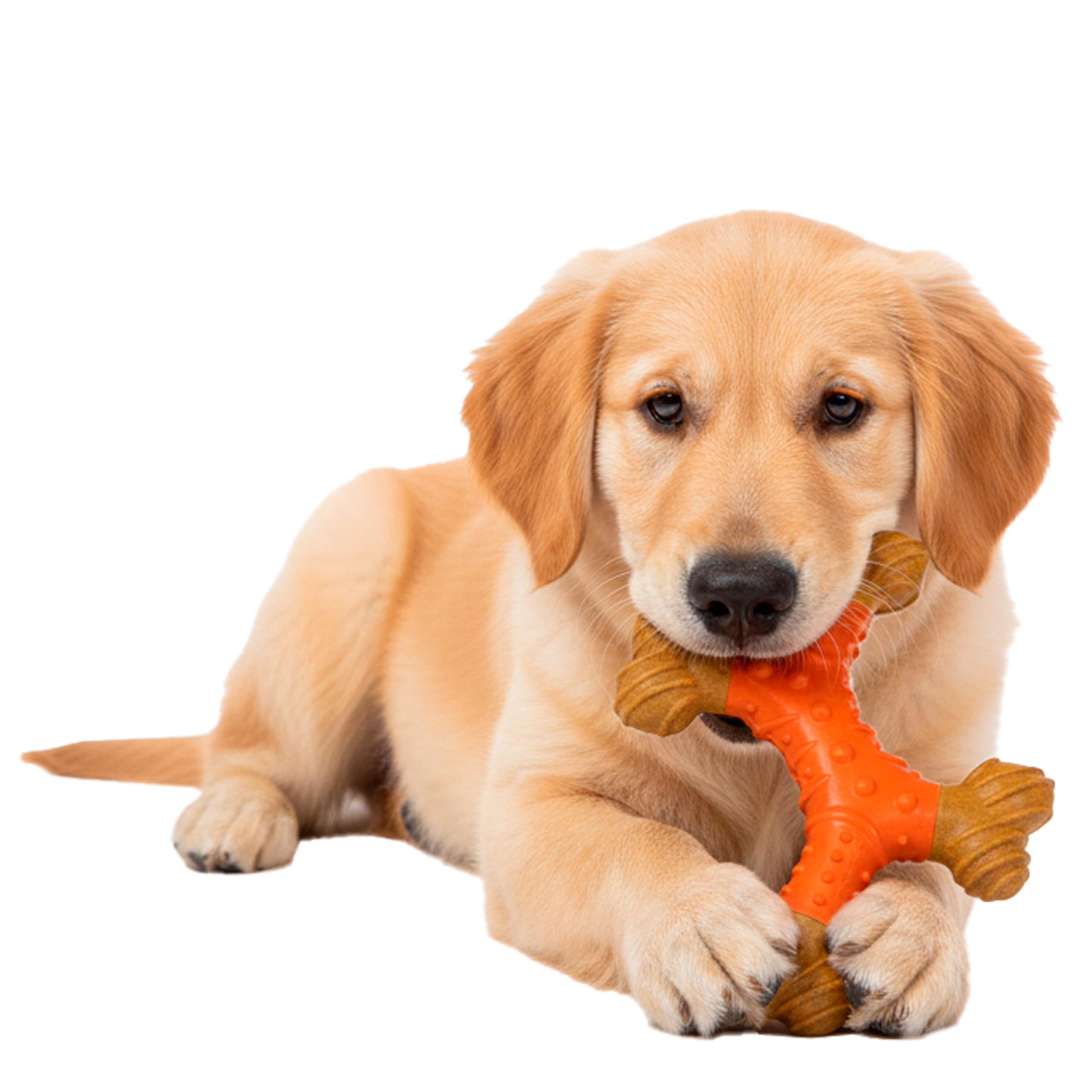 SPOT Bam-Bones: mordedor para perros agresivos y cachorros.