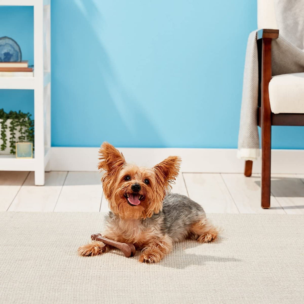 SPOT Bambone Bone: gran durabilidad para juegos prolongados y mordidas intensas.