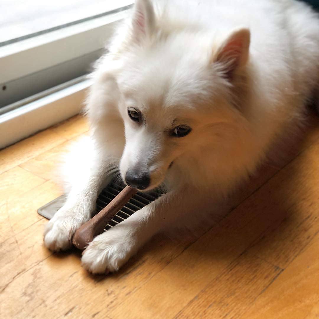 SPOT Bambone Bone: mantiene a tu perro entretenido y enfocado por horas.